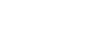 Net-Logo-Logo